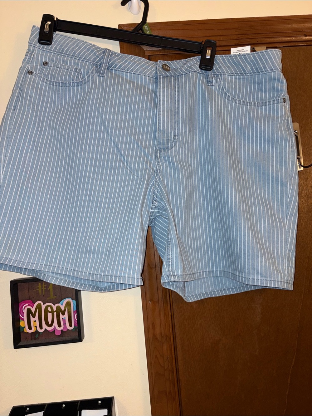Lee Light Blue Pinstripe Women's Flat Front Shorts